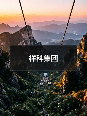 祥科集团（图2）