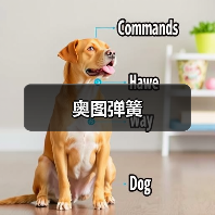 奥图弹簧（图4）