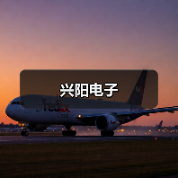 兴阳电子（图3）