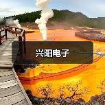 兴阳电子（图2）