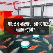 职场小蘑菇,如何度过暗黑时刻?(图4) 职场小蘑菇,如何度过暗黑时刻?(图4)