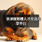 京津冀筹建人才交流共享平台（图3）