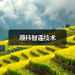 顺科智连技术(图2) 顺科智连技术(图2)