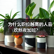为什么职位越高的人喜欢熬夜加班?(图2) 为什么职位越高的人喜欢熬夜加班?(图2)