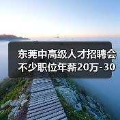 东莞中高级人才招聘会 不少职位年薪20万-30万元(图3) 东莞中高级人才招聘会 不少职位年薪20万-30万元(图3)