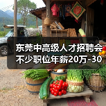 东莞中高级人才招聘会 不少职位年薪20万-30万元(图1) 东莞中高级人才招聘会 不少职位年薪20万-30万元(图1)