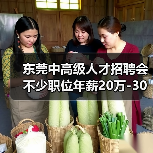 东莞中高级人才招聘会 不少职位年薪20万-30万元(图4) 东莞中高级人才招聘会 不少职位年薪20万-30万元(图4)