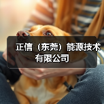 正信(东莞)能源技术有限公司(图4) 正信(东莞)能源技术有限公司(图4)