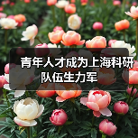 青年人才成为上海科研队伍生力军(图2) 青年人才成为上海科研队伍生力军(图2)
