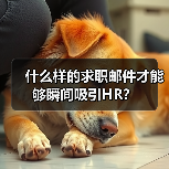 什么样的求职邮件才能够瞬间吸引HR?(图1) 什么样的求职邮件才能够瞬间吸引HR?(图1)