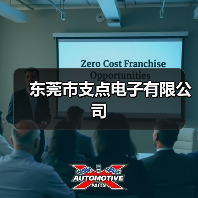 东莞市支点电子有限公司(图3) 东莞市支点电子有限公司(图3)