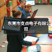 东莞市支点电子有限公司(图2) 东莞市支点电子有限公司(图2)