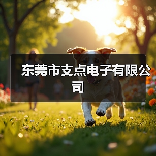 东莞市支点电子有限公司(图4) 东莞市支点电子有限公司(图4)