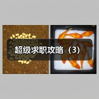 超级求职攻略(3)(图2) 超级求职攻略(3)(图2)