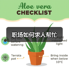 职场如何求人帮忙(图3) 职场如何求人帮忙(图3)