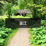 亚江(图4) 亚江(图4)