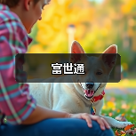 富世通(图3) 富世通(图3)