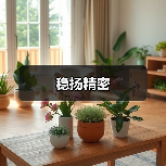 稳扬精密(图1) 稳扬精密(图1)