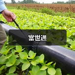 富世通(图4) 富世通(图4)