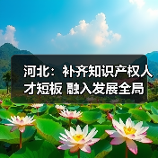 河北：补齐知识产权人才短板 融入发展全局（图4）