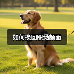 如何挽回职场颜面(图2) 如何挽回职场颜面(图2)