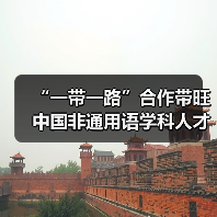 “一带一路”合作带旺中国非通用语学科人才建设(图4) “一带一路”合作带旺中国非通用语学科人才建设(图4)