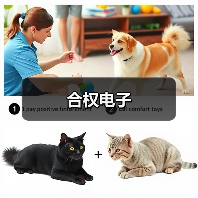 合权电子(图4) 合权电子(图4)
