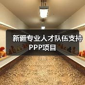 新疆专业人才队伍支持PPP项目（图2）