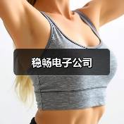稳畅电子公司(图2) 稳畅电子公司(图2)
