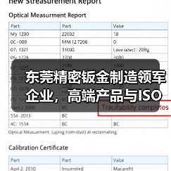 东莞精密钣金制造领军企业,高端产品与ISO认证引领行业(图2) 东莞精密钣金制造领军企业,高端产品与ISO认证引领行业(图2)