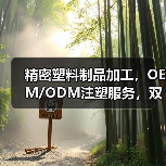 精密塑料制品加工，OEM/ODM注塑服务，双色壳与真空电镀技术（图1）